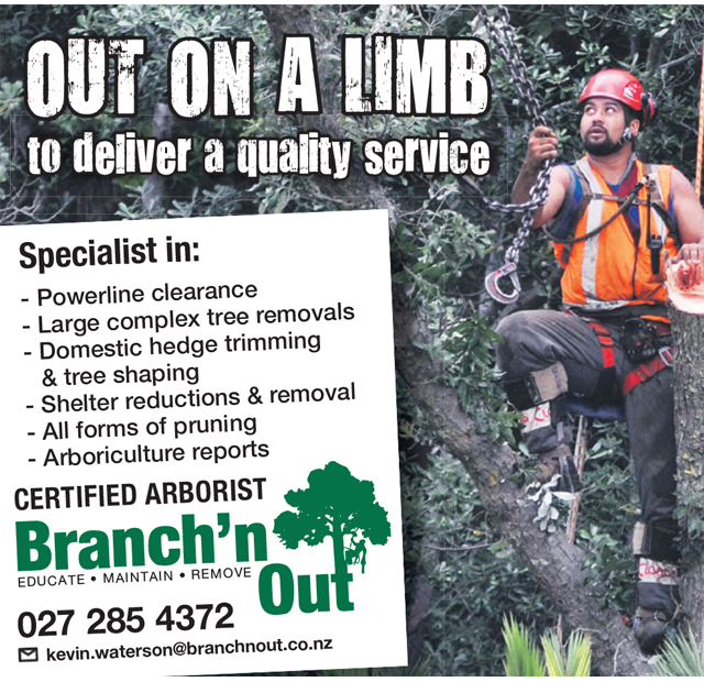 Branch'n Out Tree Services - Woodlands School - Feb 24